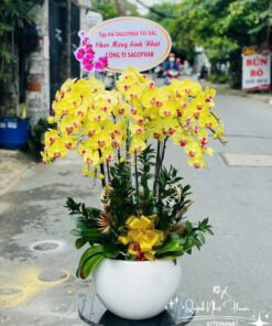 Giỏ Lan Hồ Điệp - HĐ09