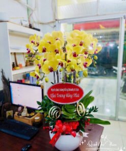 Giỏ Lan Hồ Điệp - HĐ23