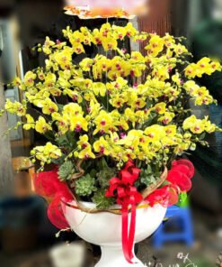 Giỏ Lan Hồ Điệp - HĐ27