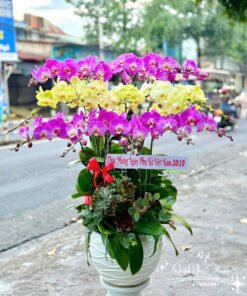 Giỏ Lan Hồ Điệp - HĐ30