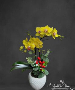 Giỏ Lan Hồ Điệp - HĐ29