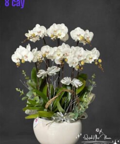 Giỏ Lan Hồ Điệp - HĐ37