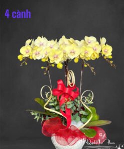 Giỏ Lan Hồ Điệp - HĐ36