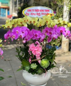 Giỏ Lan Hồ Điệp - HĐ32