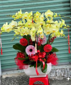 Giỏ Lan Hồ Điệp - HĐ42