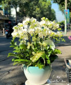 Giỏ Lan Hồ Điệp - HĐ41