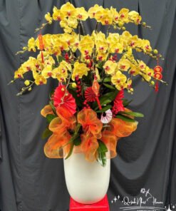 Giỏ Lan Hồ Điệp - HĐ47