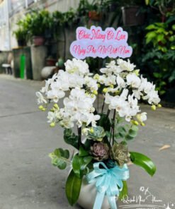 Giỏ Lan Hồ Điệp - HĐ46