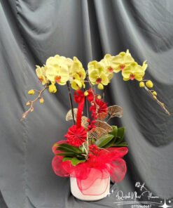 Giỏ Lan Hồ Điệp - HĐ15