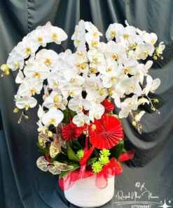 Giỏ Lan Hồ Điệp - HĐ12