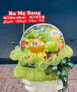 Giỏ Trái Cây Nhập Khẩu - TC36